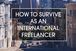 Freelancer Guide To Communicating With Overseas Clients02May2016